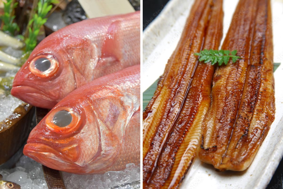 地魚100％